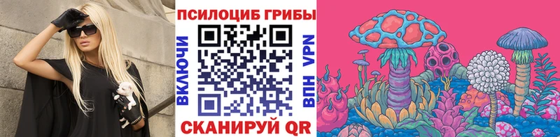 Псилоцибиновые грибы Magic Shrooms  кракен как войти  Светлоград 
