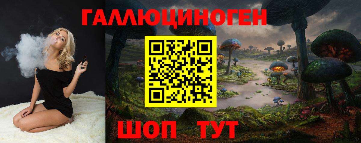 Светлоград  Галлюциногенные грибы Psilocybine cubensis  Вход с VPN 